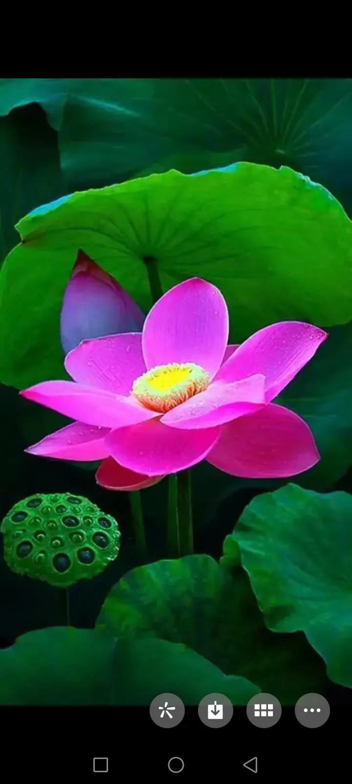 五步护理法 缓解宝宝湿疹痛苦　　第1步：去除过敏因素　　对于婴儿来说，最常引起过