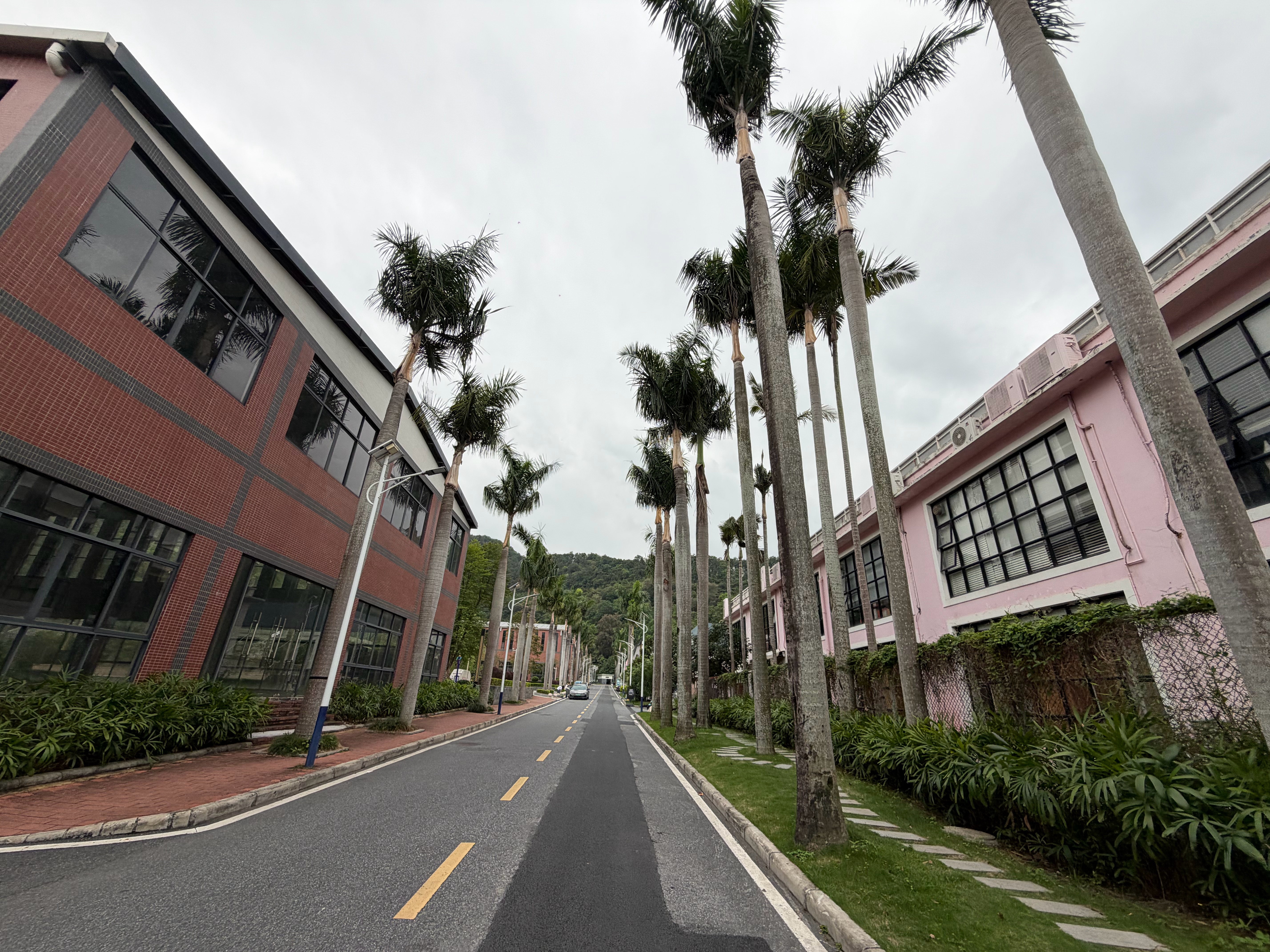 广州…So hot 🥵杰克的工作日记 广州·火炉山森林公园