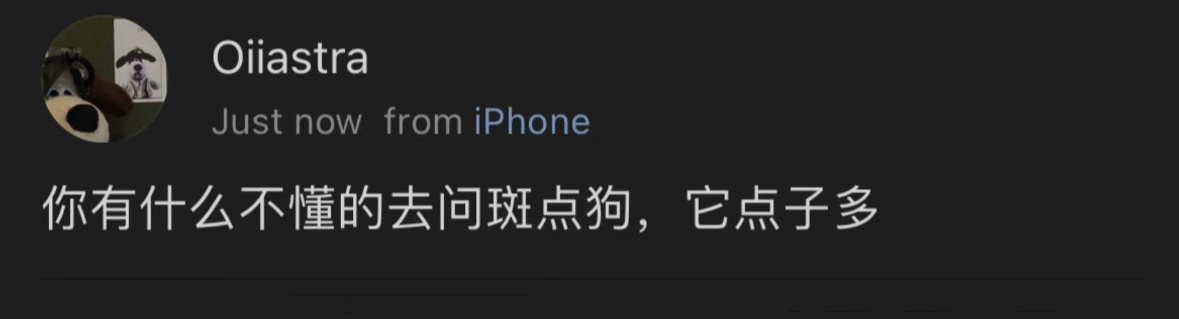 不懂就去问斑点狗 它点子多 ​​​