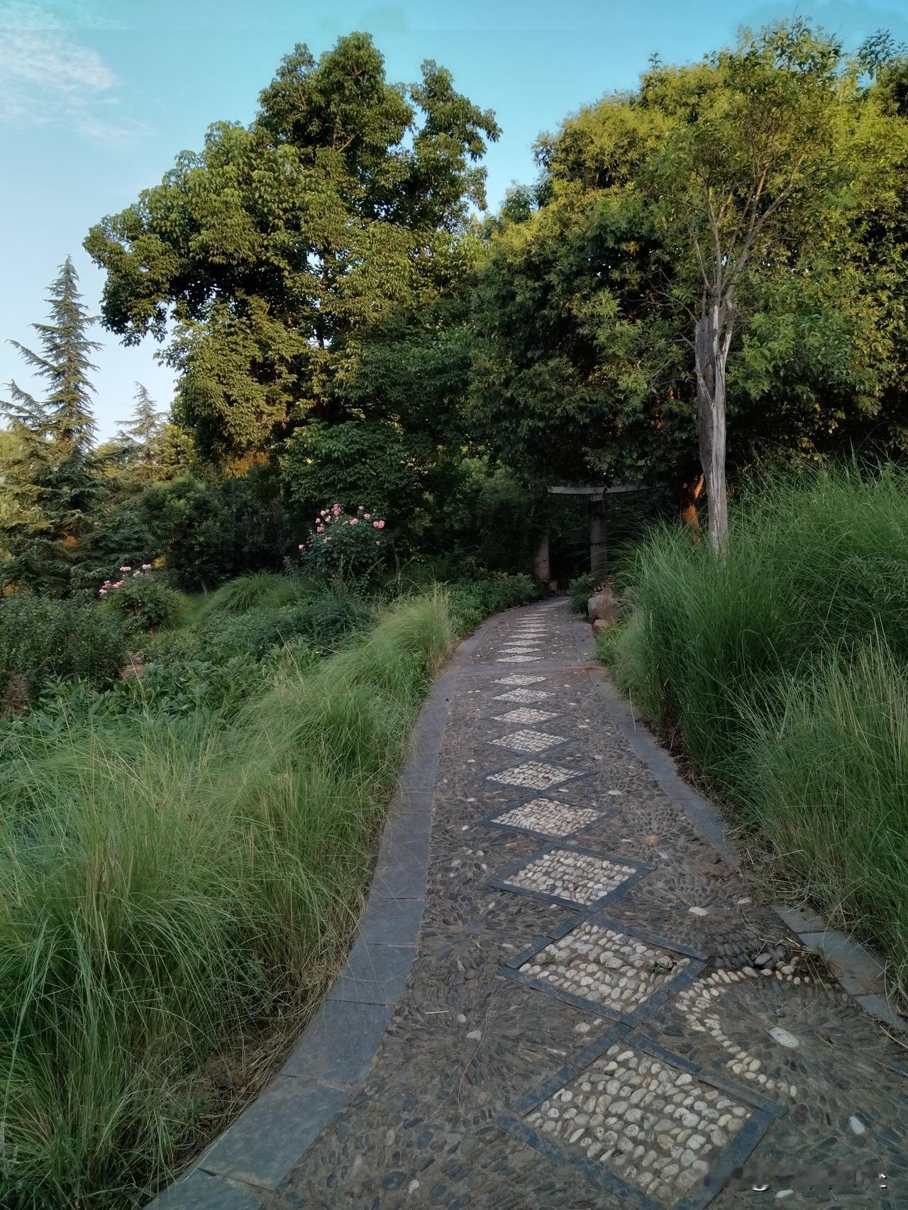 五十多岁的婚姻，熬得我满心寒凉
 
活到五十多岁，走过半生风雨，尝尽人间烟火，回