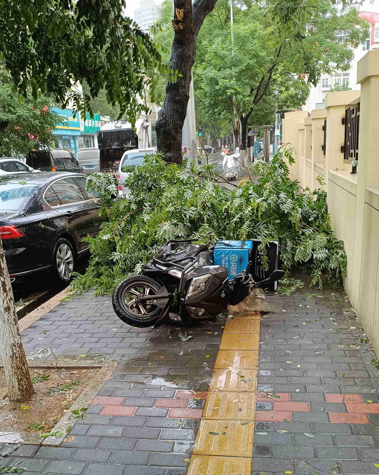 青岛昨夜的狂风暴雨有点骇人。今早出门雨虽然依然在下，但一场雨带走了溽热潮焖，青岛