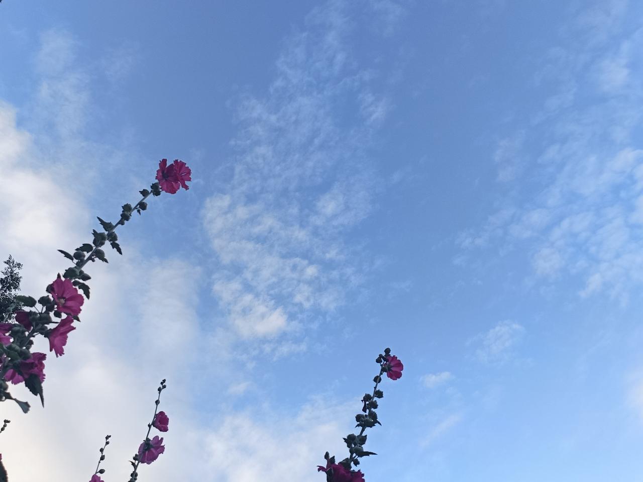 心事寄长空，岁月悟人生。
走过风雨才知晓，万般依靠不如自立自强。生活重担自己担，