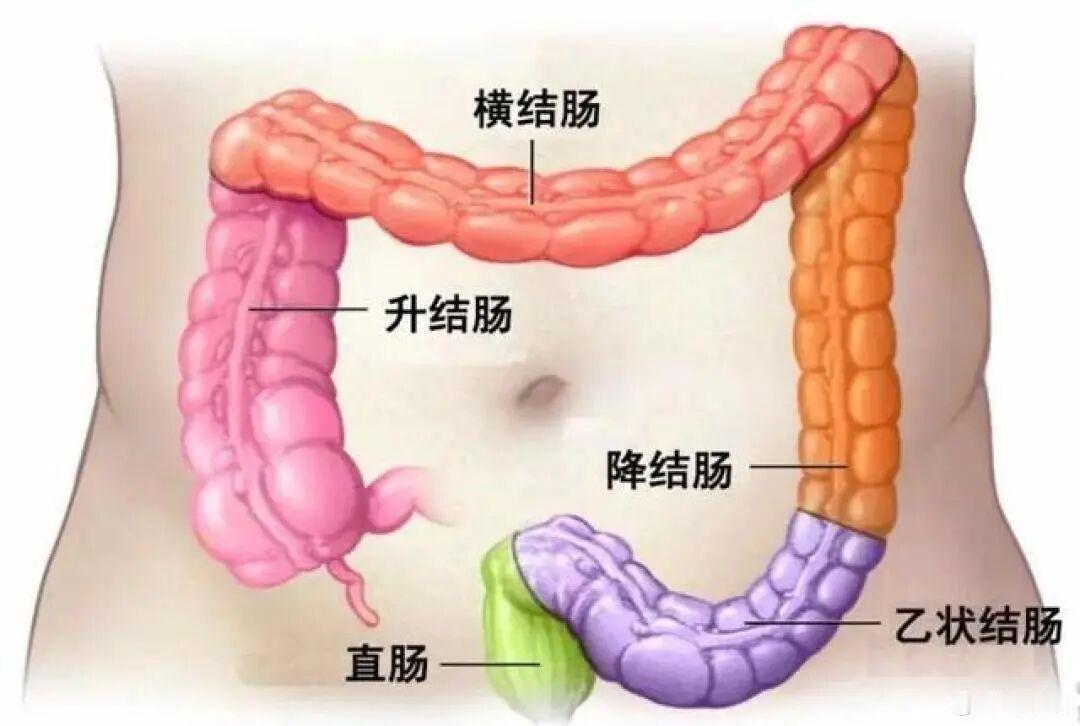 终于体验了一把有痛肠镜，时间虽然不长，也就10多分钟，但遭受的痛苦却令人印象深刻