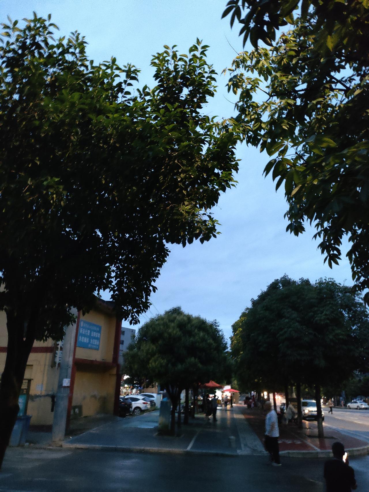 雨后的小城傍晚，街灯初亮，行人闲散漫步，平凡街巷，满是踏实的人间烟火。