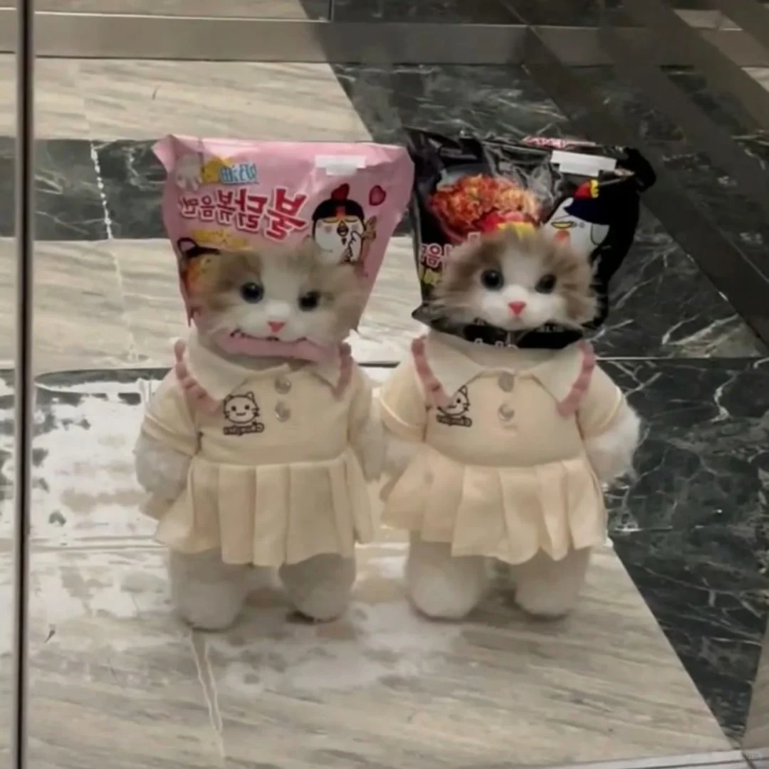 变装小猫₊⁺ʚ=･ ֊ ･=ɞ‧₊˚