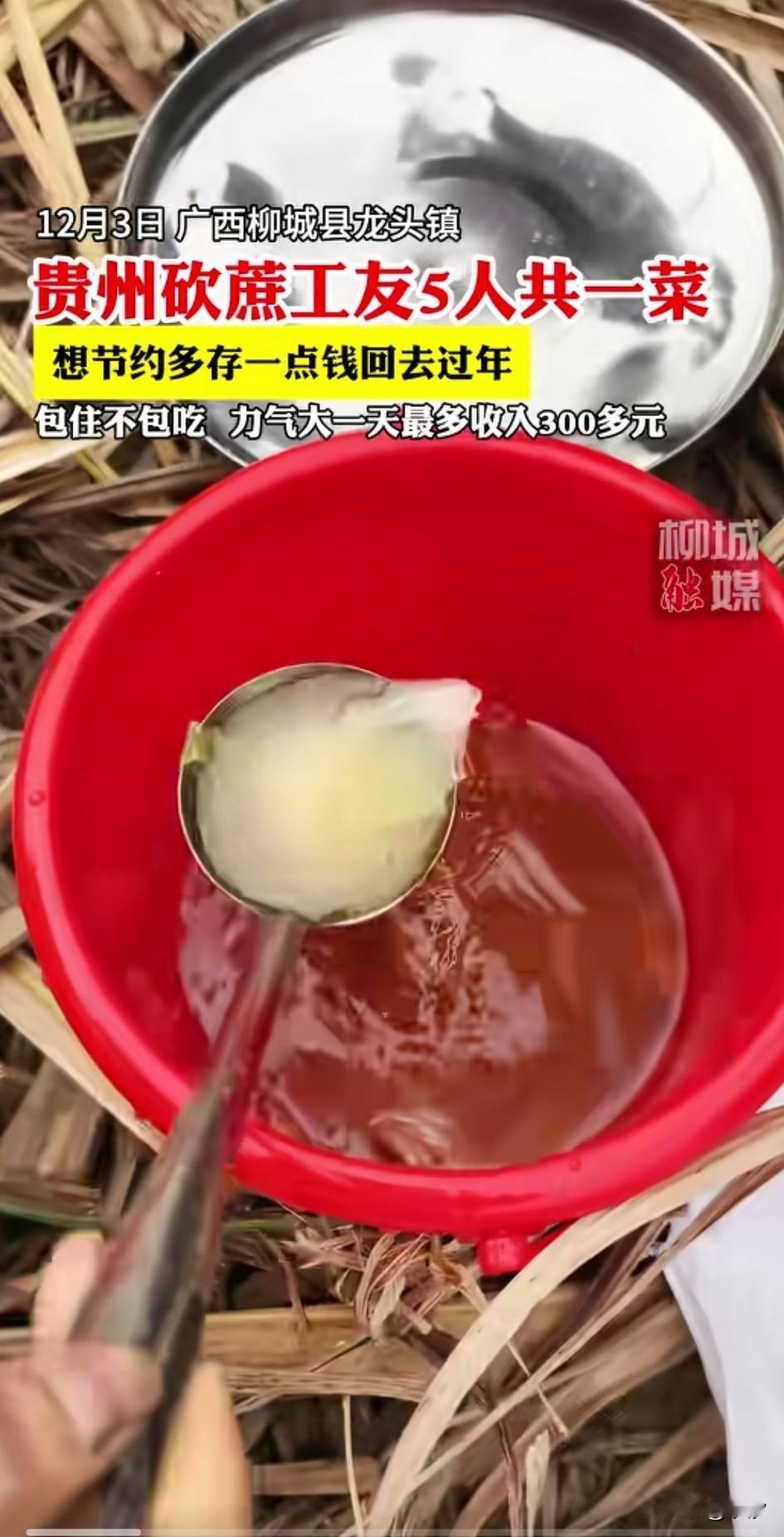 贵州砍蔗工，
个人同吃一个菜，
看的人很心酸，
包住不包吃，
力气大的人每天可以