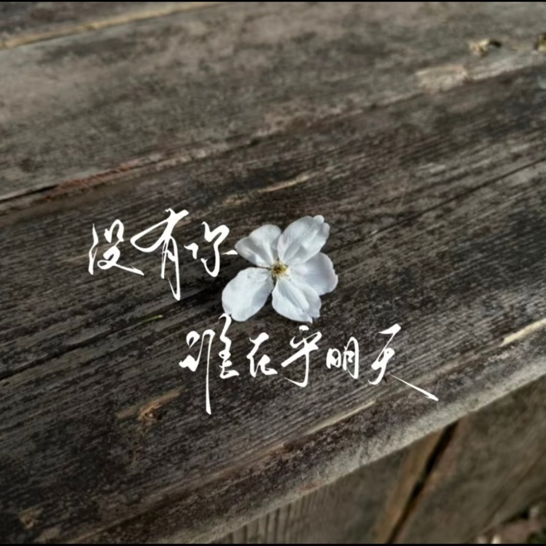 WeChat套图 | 头像背景图搭配 | 高质氛围感女头 