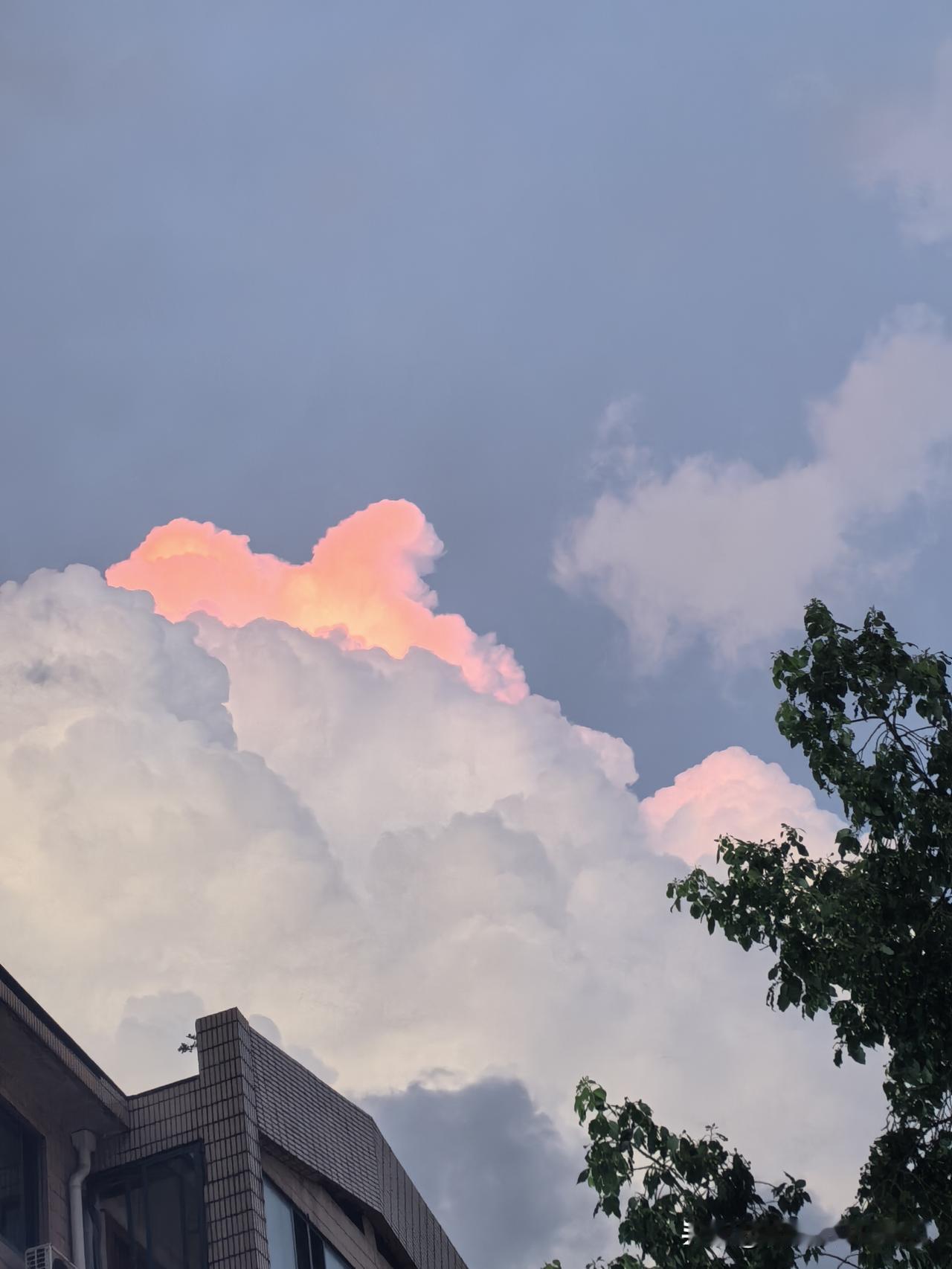 夏日雨后天霁，像画一样。
