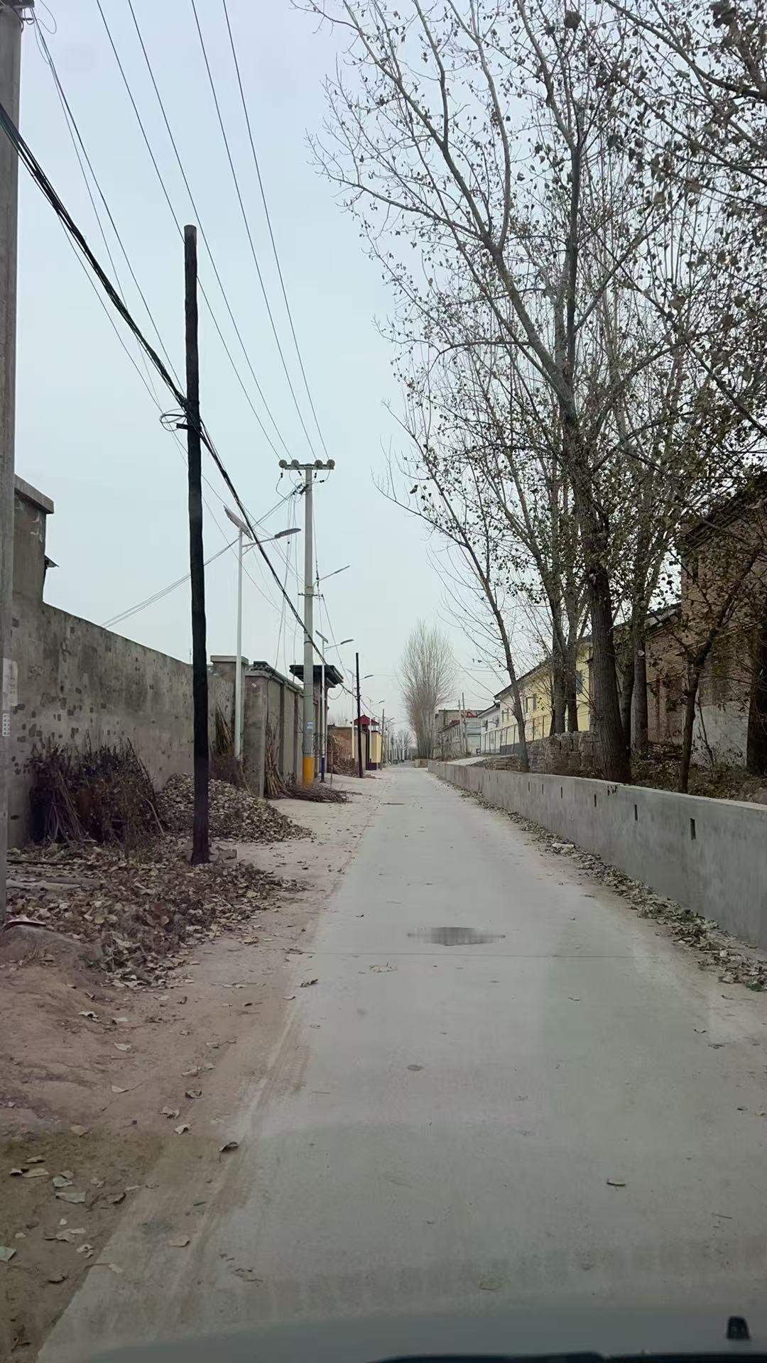 冬日生活打卡季