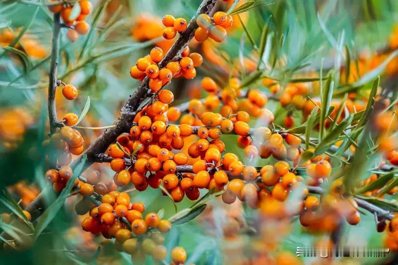 减肥是为了更好看还是为了更自信? 我认为减肥是为了更健康，将自己的体重维持在一个