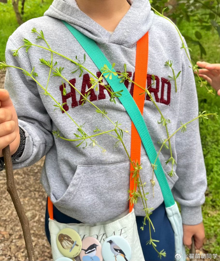 森林之神，哈哈，浑身长满了拉拉藤。 南京