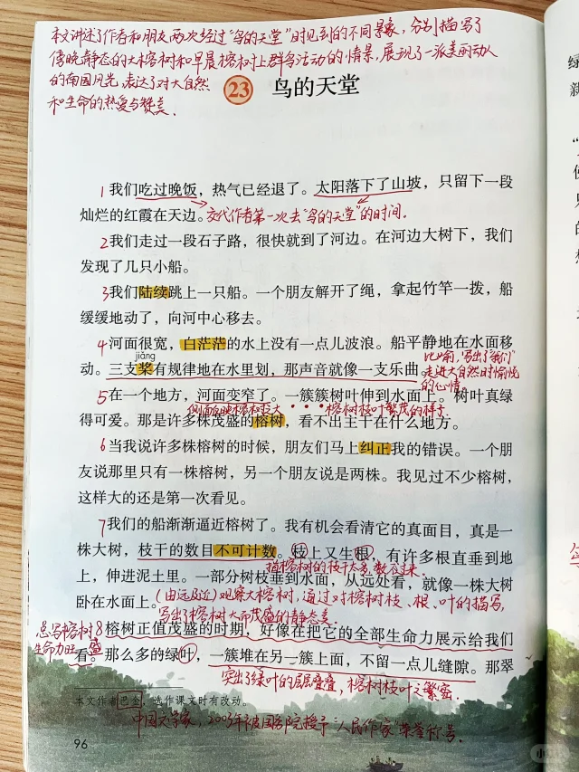 五年级上册《鸟的天堂》课堂笔记
