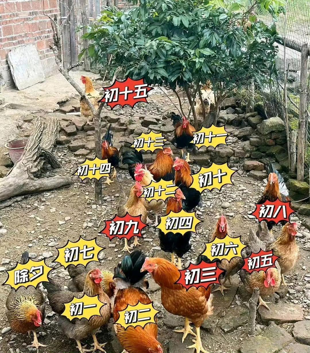 一天一个吃得完吗