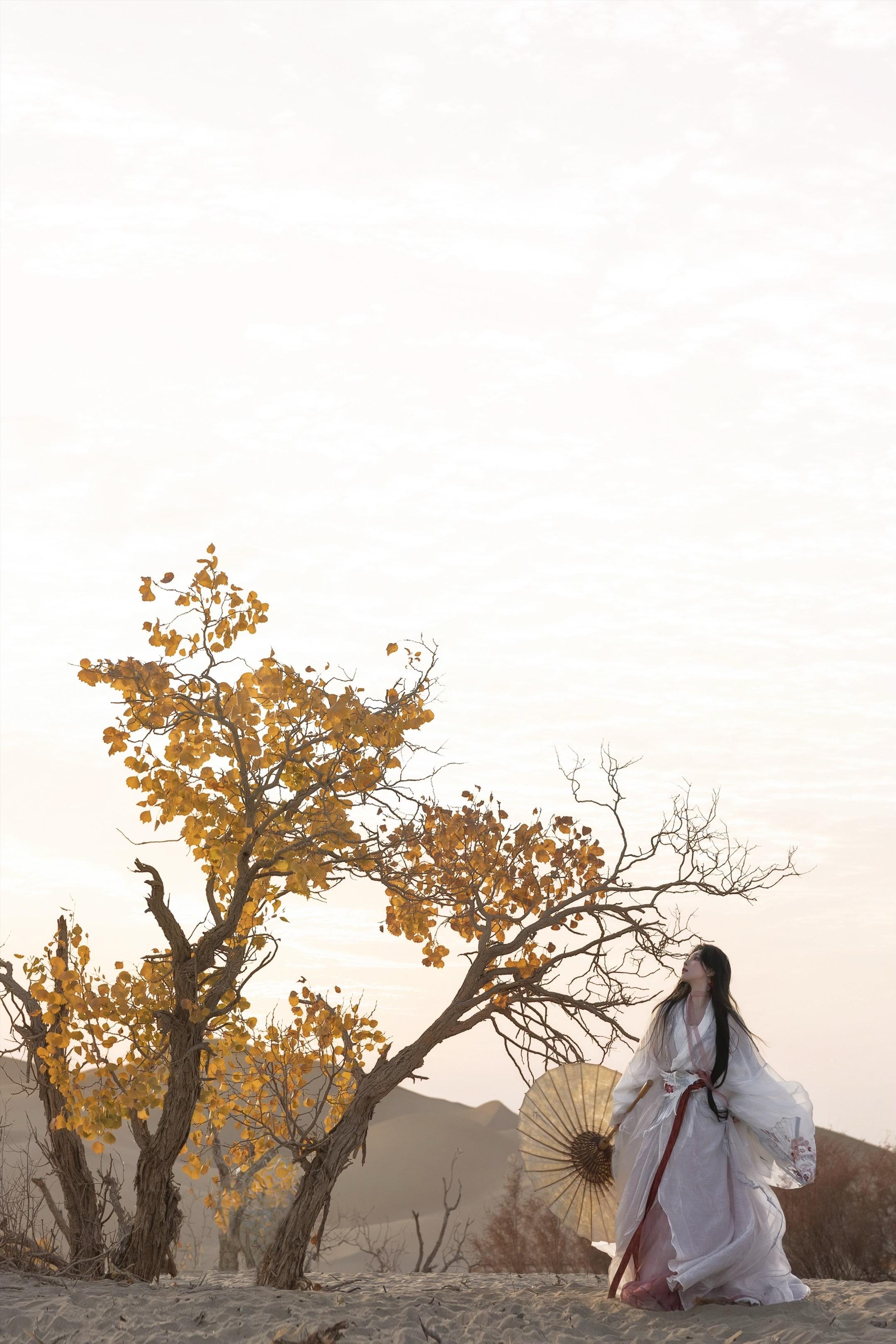 ‘ 风从东方来 ’幸运的赶上了葫芦岛秋天的胡杨～ 夕阳下金色的胡杨、是...