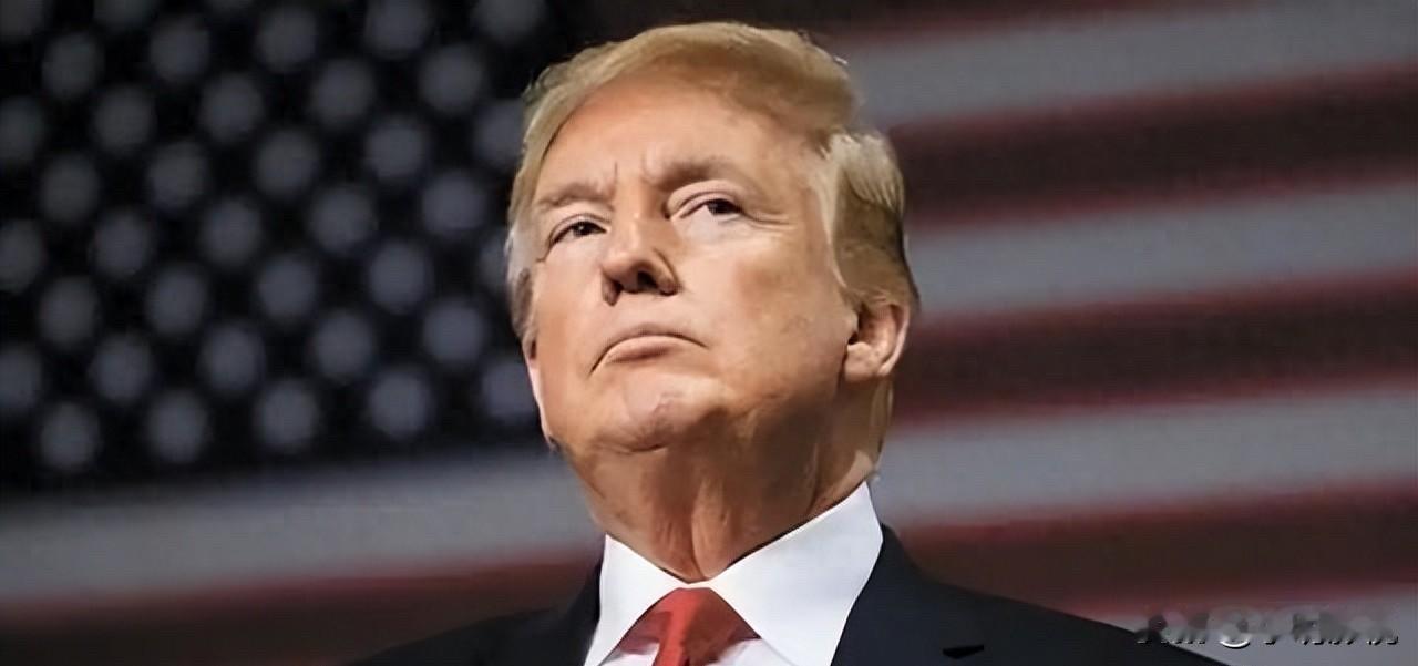 和平近在眼前，还是又被搅黄？

2025年底，美俄高层频繁接触，特朗普政府抛和平