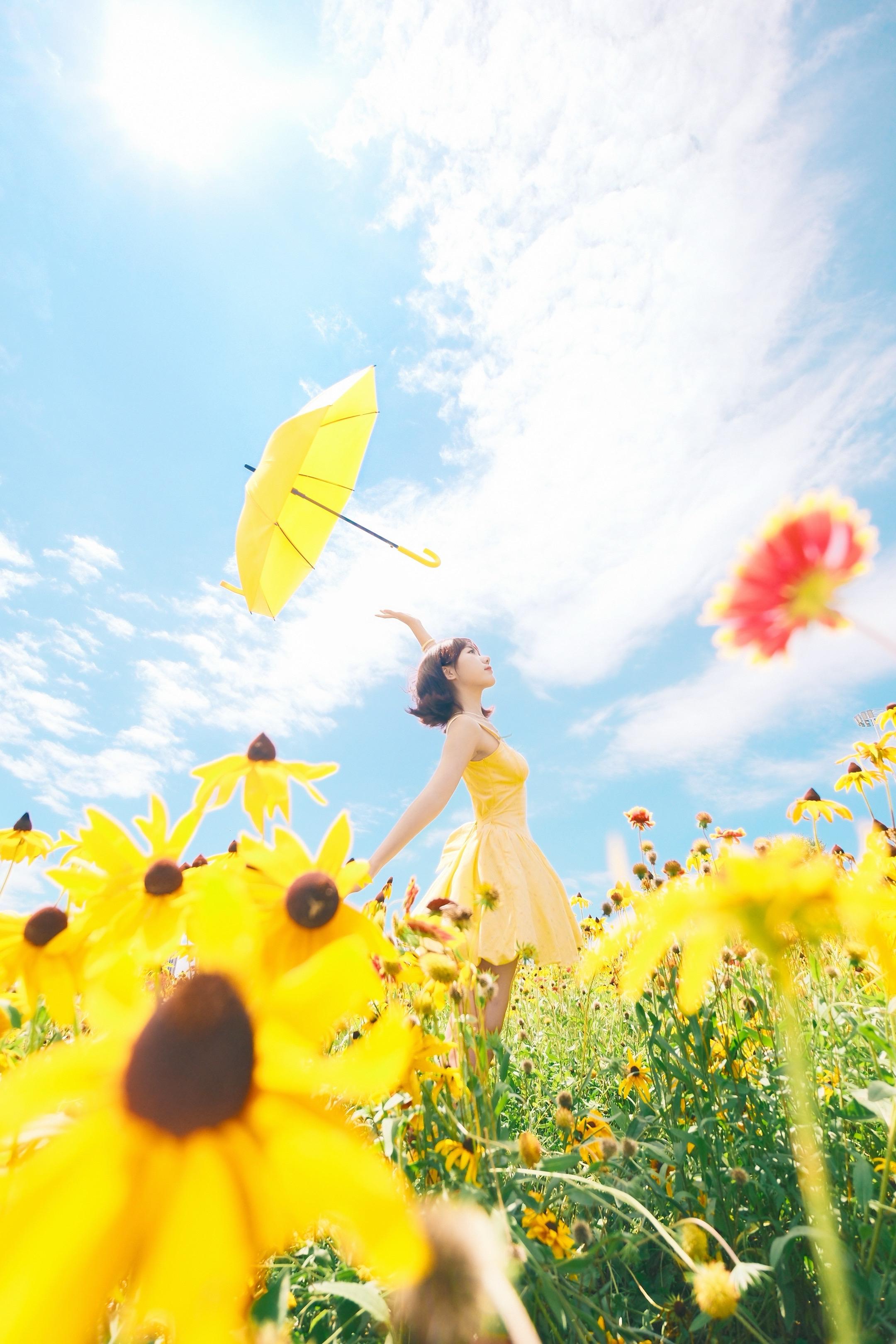 长春雕塑公园花海🌻。