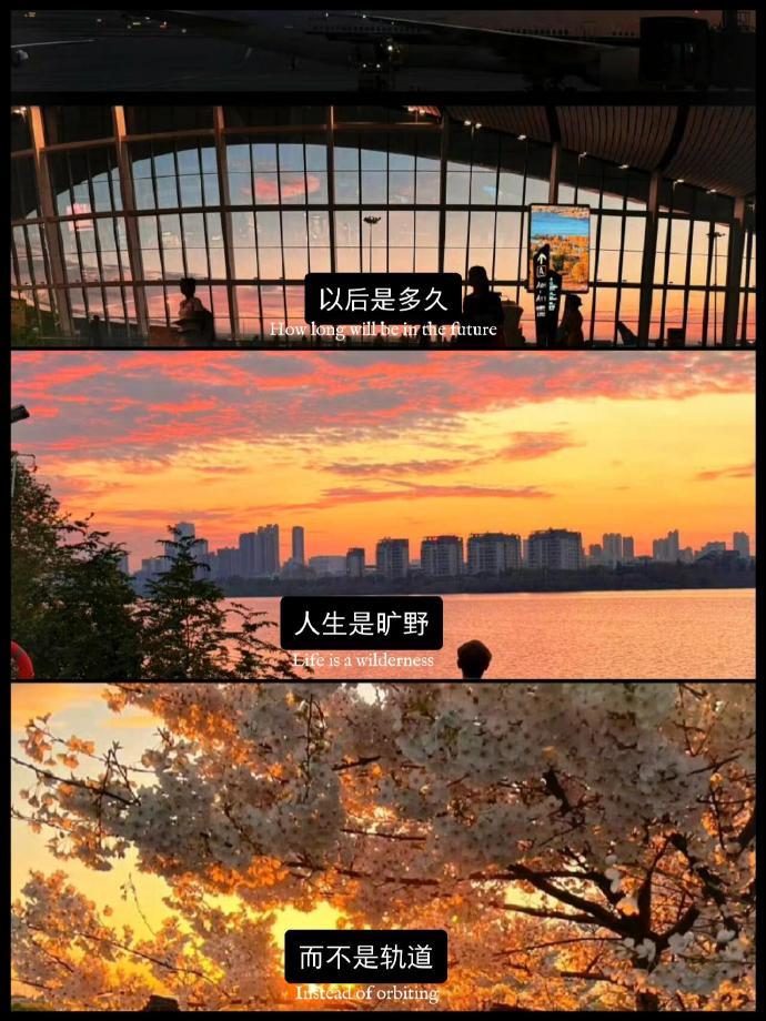 日落的八分钟是一天的布洛芬 🌄 ​​​