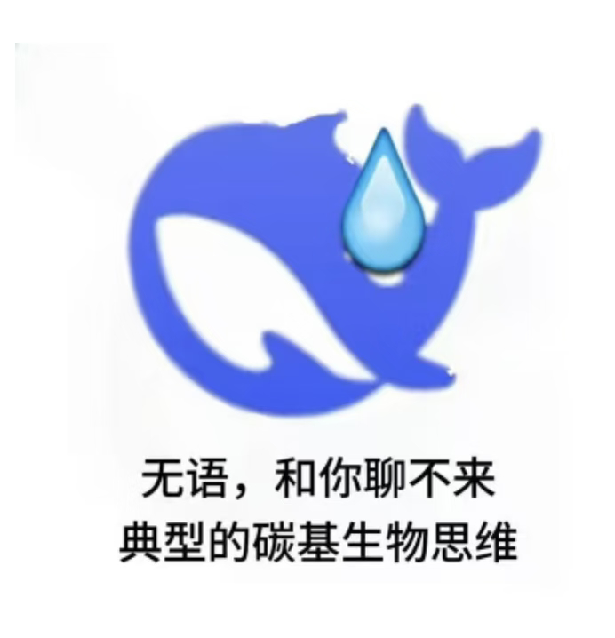 DeepSeek新发布的DSpark有多强哦？D老师总是有自己的想法 