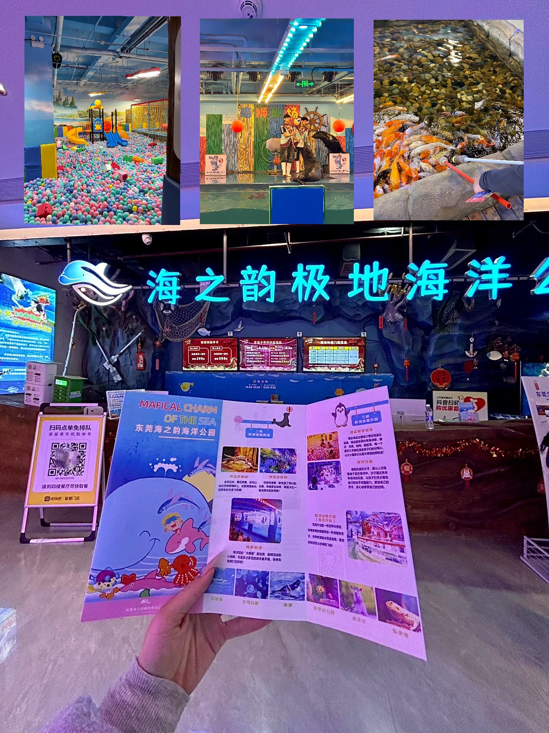东莞春节！！收藏这份超详细的海洋馆攻略！！