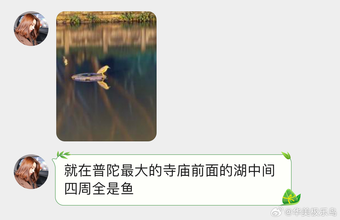 鸟粉投稿 专心钓鱼的夜鹭熬夜熬得眼睛都红了👀 