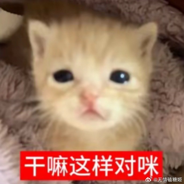 悟空安全直播险翻车 弹窗骚扰终于有解了，智能过滤不误伤重要信息，工作沟通零打扰，