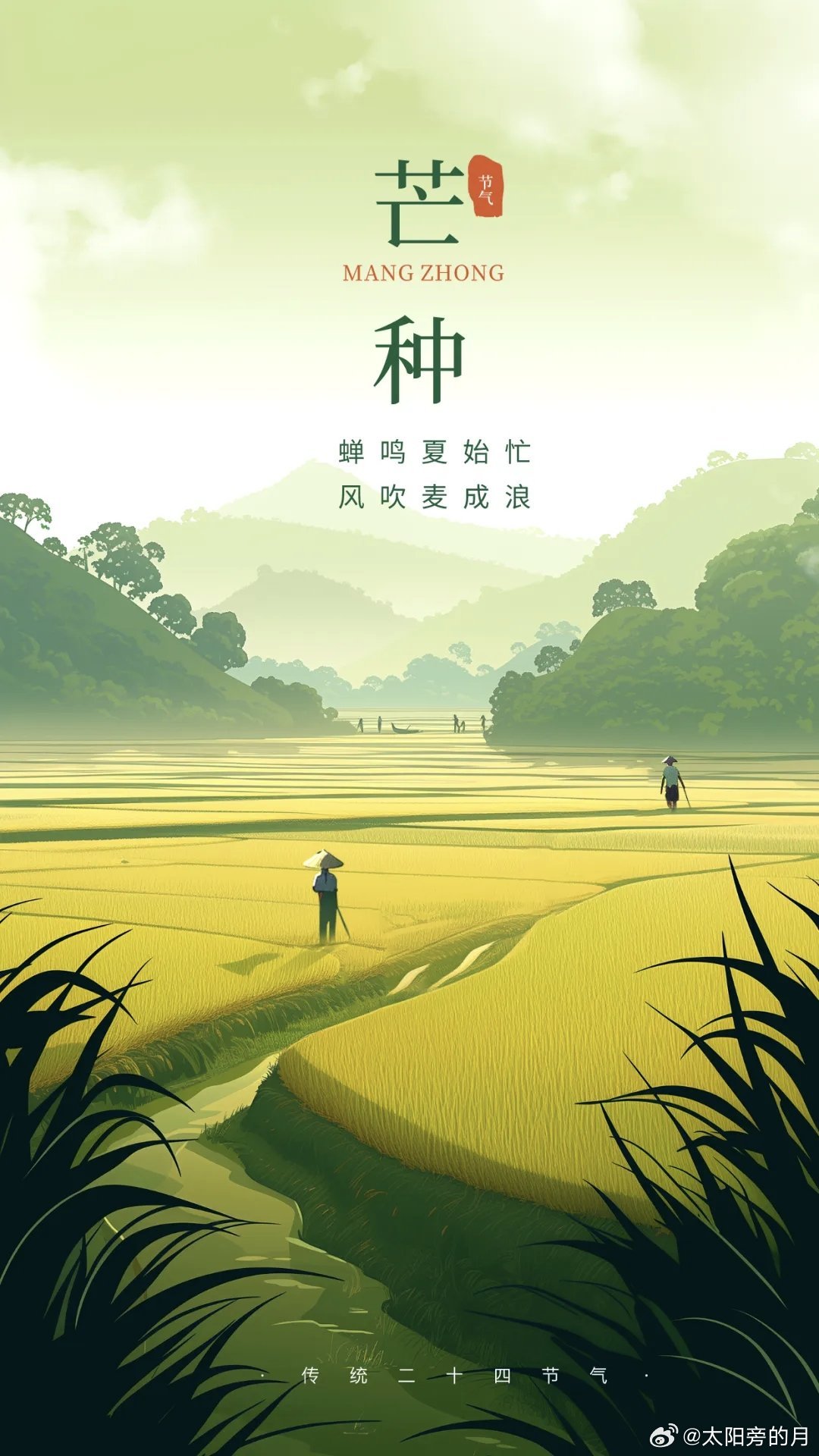 黄岩 时逢芒种，万物向阳
