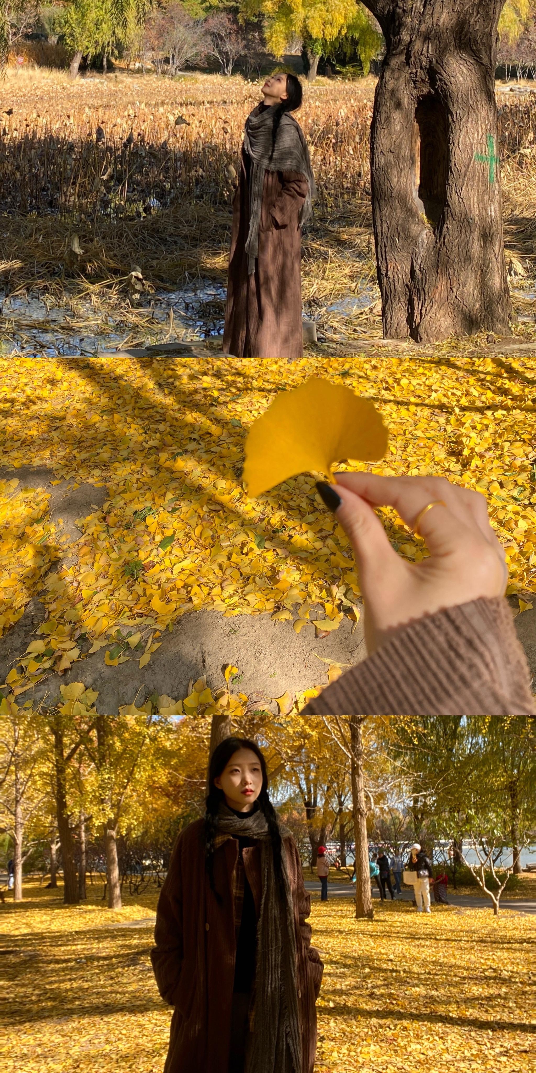 却不道枯荣有数 得失难量