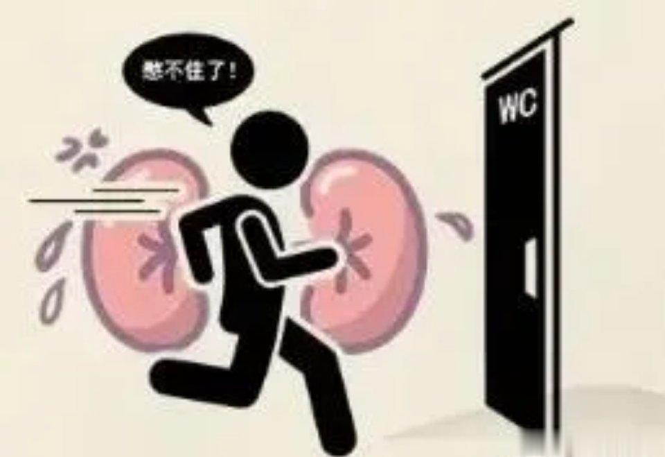 小便是肾的告知镜1、小便量少色黄多因肾阴不足，身体缺水所致，同时还伴有怕热、手脚