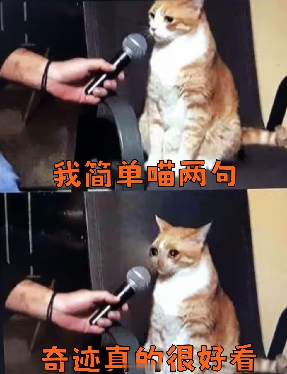 奇迹不够看挖到宝藏短剧《奇迹》！闫妮演技绝，碰壁戏戳心，《牛牛》剧情有梗，胡歌于