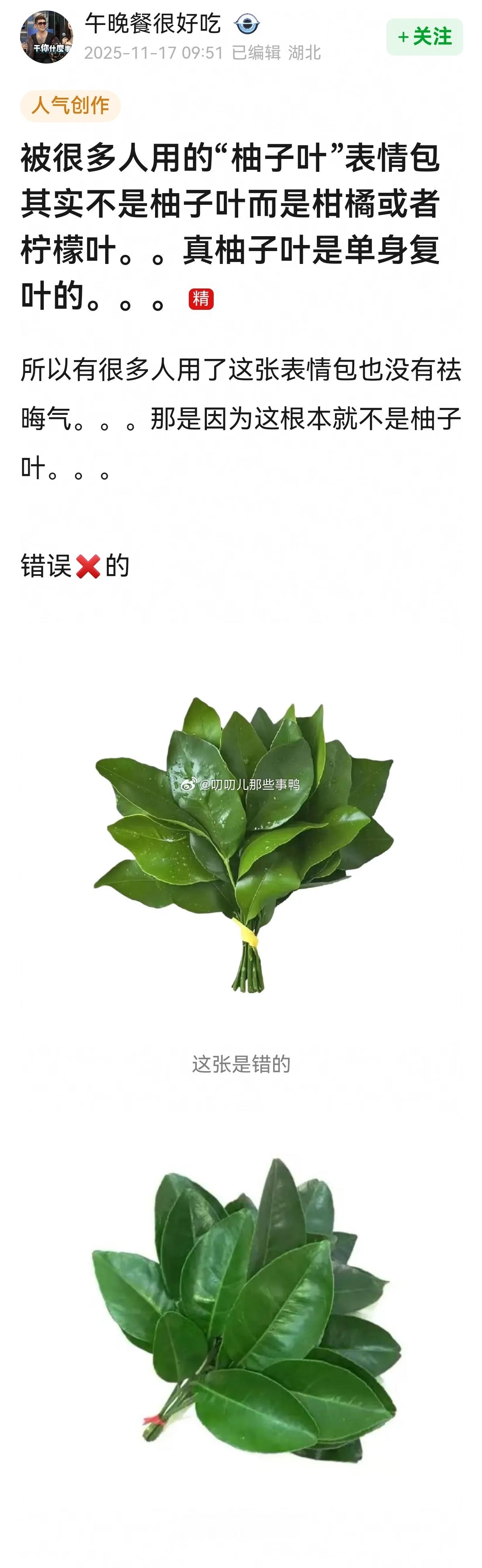 看这个帖子涨知识了→被很多人用的“柚子叶”表情包其实不是柚子叶而是柑橘或者柠檬叶