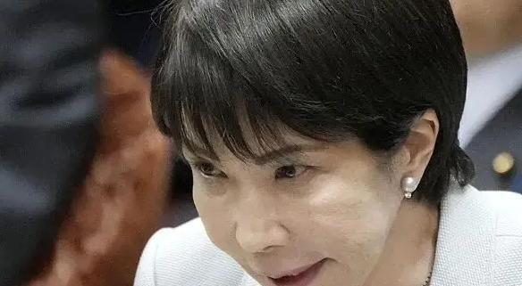 日本不怕中国有导弹，也不怕中国的核武器 ，甚至不怕中国的稀土制裁，他们害怕就是派