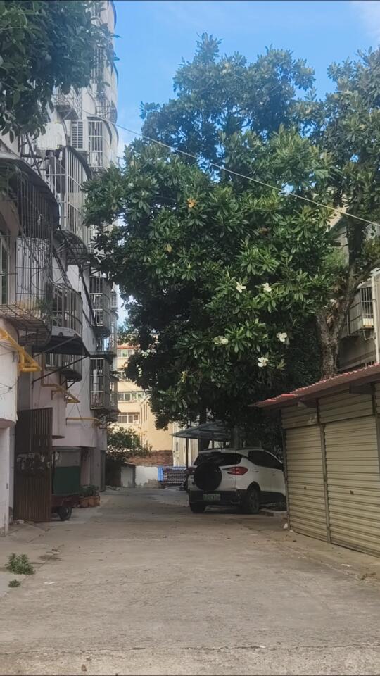 老巷子的魅力是无穷的