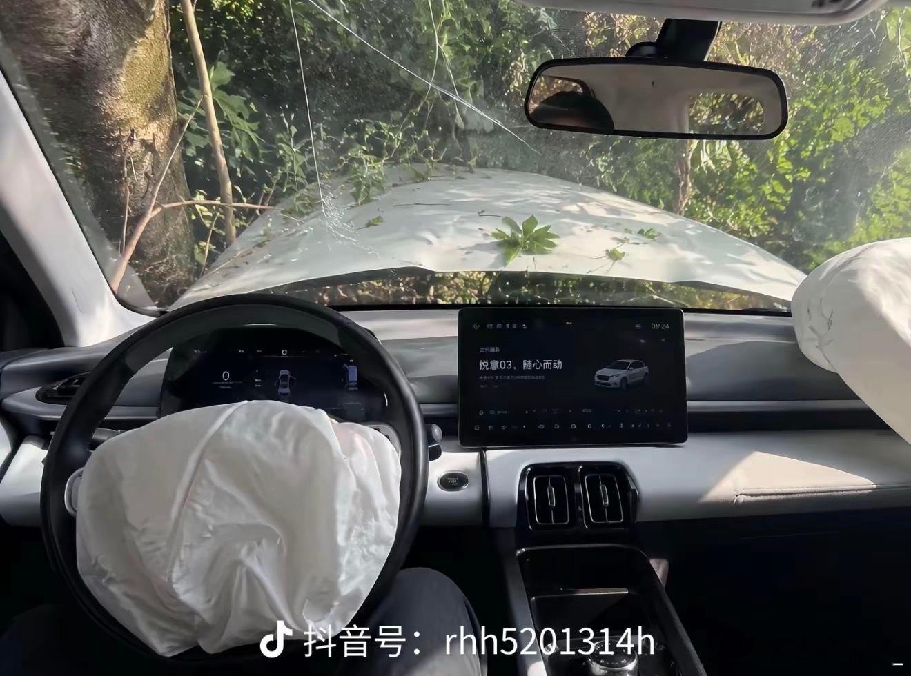 樱花树下站谁都美家人们开车注意安全呦 