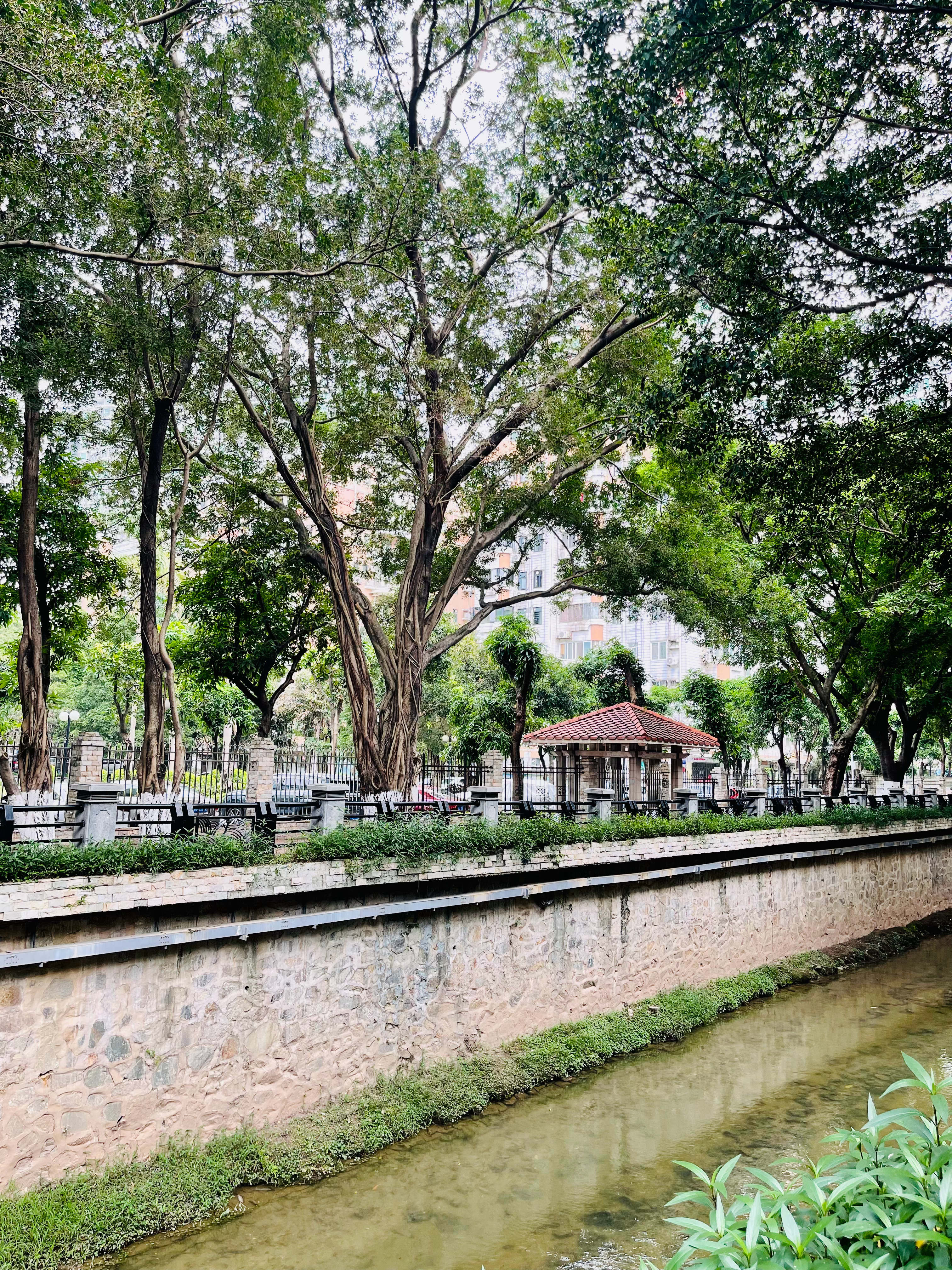 我们几个与母亲一起，回到天河东/天河北交汇处的房子（目前此房子出租），这个在92