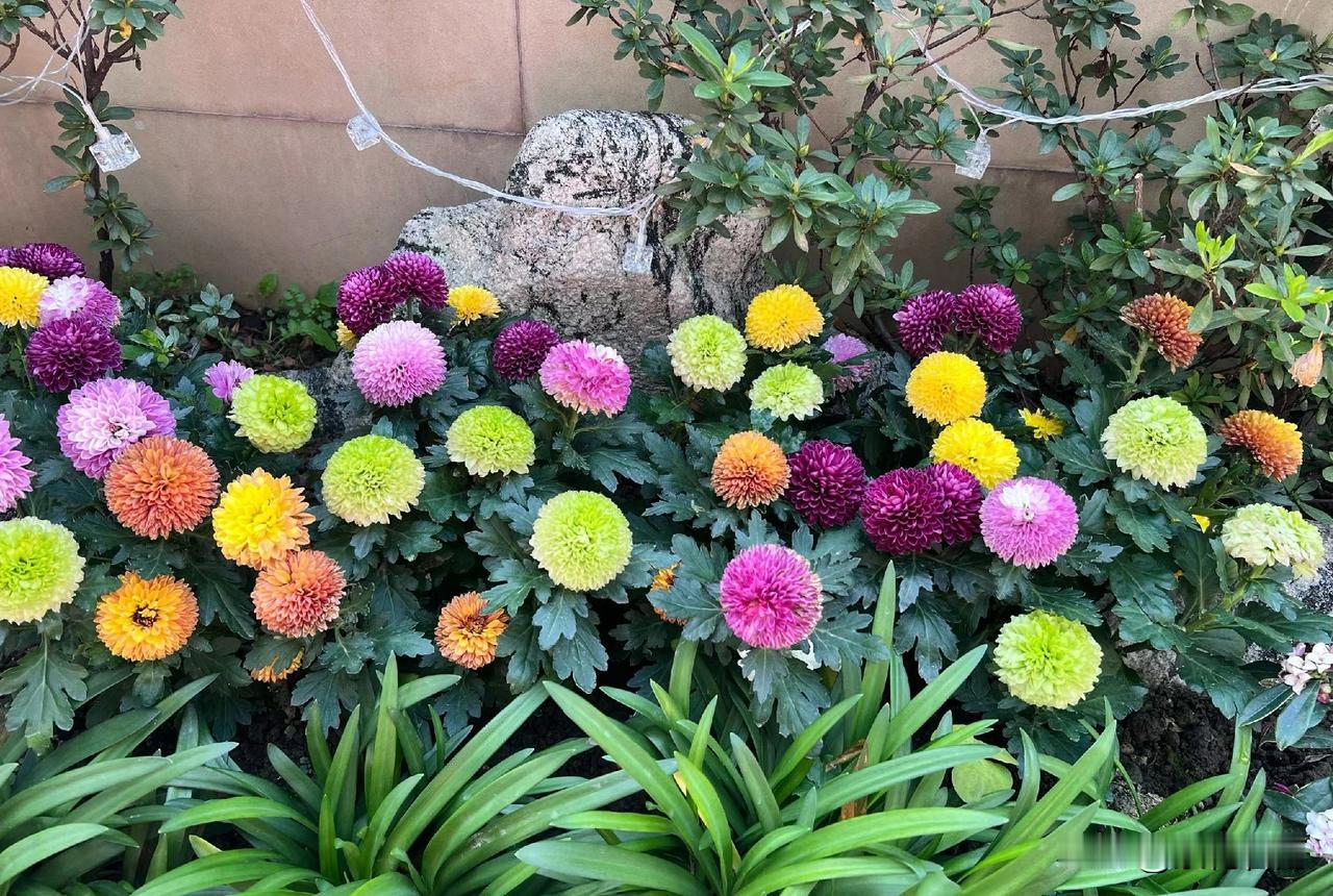 新的一年，生活一定要五颜六色，不能乱七八糟。一定要比去年更精彩，把日子过清透，事