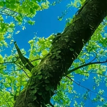 阳光信用 阳光信用每日一善 人生似一束鲜花，仔细观赏，才能看到它的美丽，人生似一