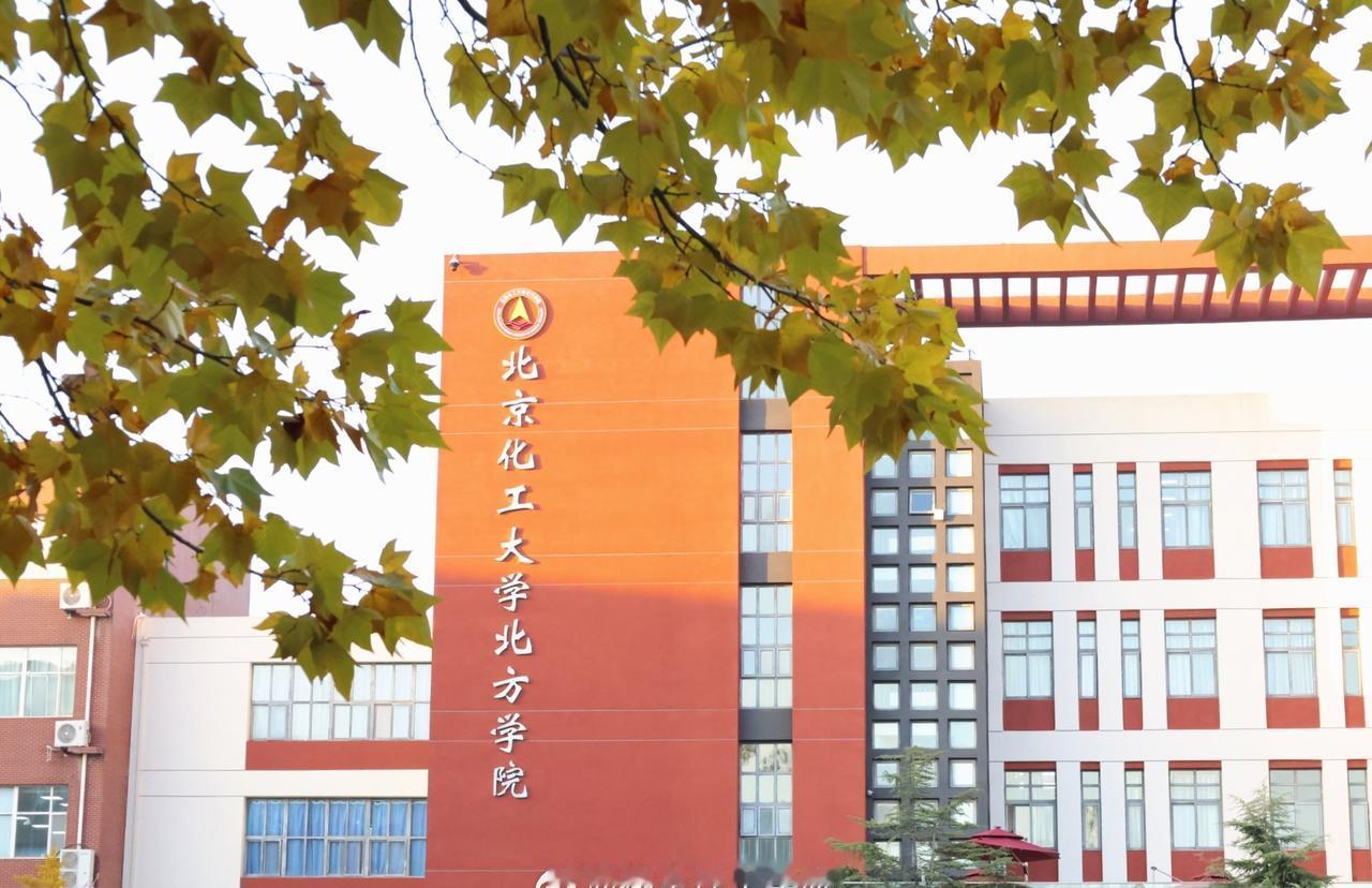 风携清冽掠过林梢，叠枝褪尽葱茏，晕开深浅赭黄，草木凝着薄润清辉，天地间漾着沉静通