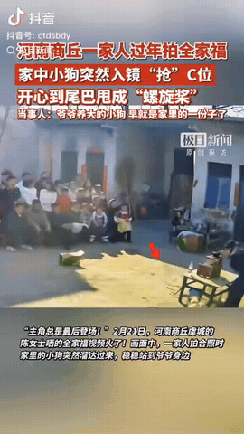 近日，河南商丘，一家人在拍摄全家福的时候，没想到爷爷养的小狗突然抢占“C位”，简