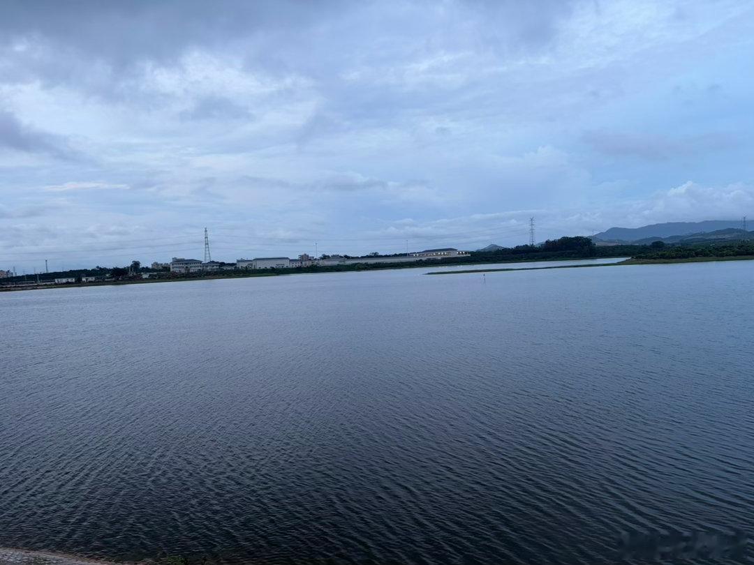 水库游泳🏊♂️ 