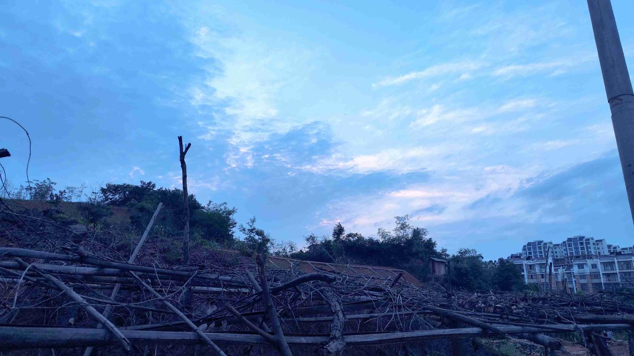 我的今日状态：😁轻松愉快
我这里的天气：☀️晴天