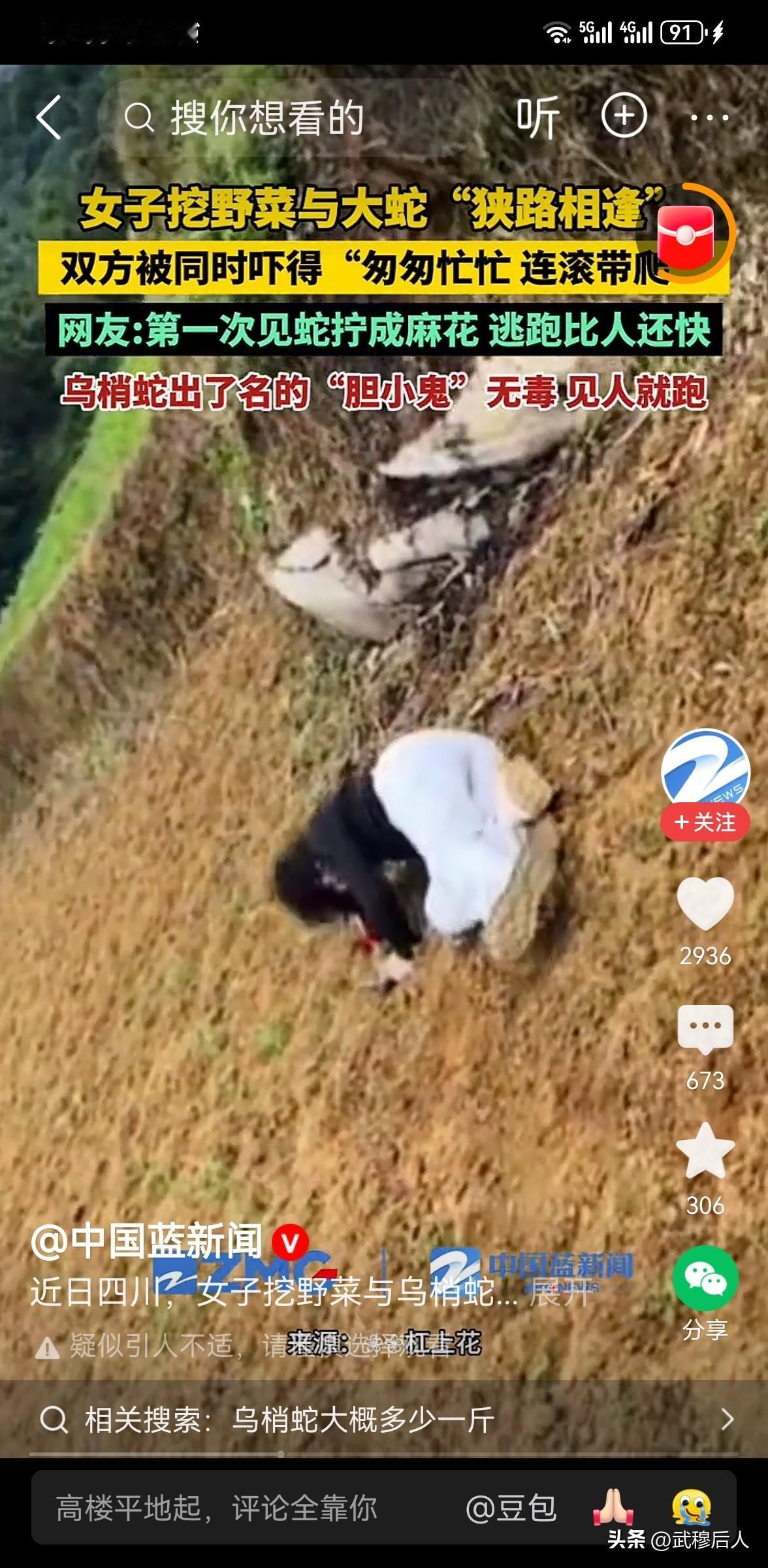 女子挖野菜偶遇大蛇，双方吓得四散逃窜！网友：这是双向奔赴的害怕

近日，四川多位