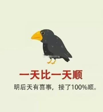 明天后天有喜事临门，必有吉兆，越来越顺……… 