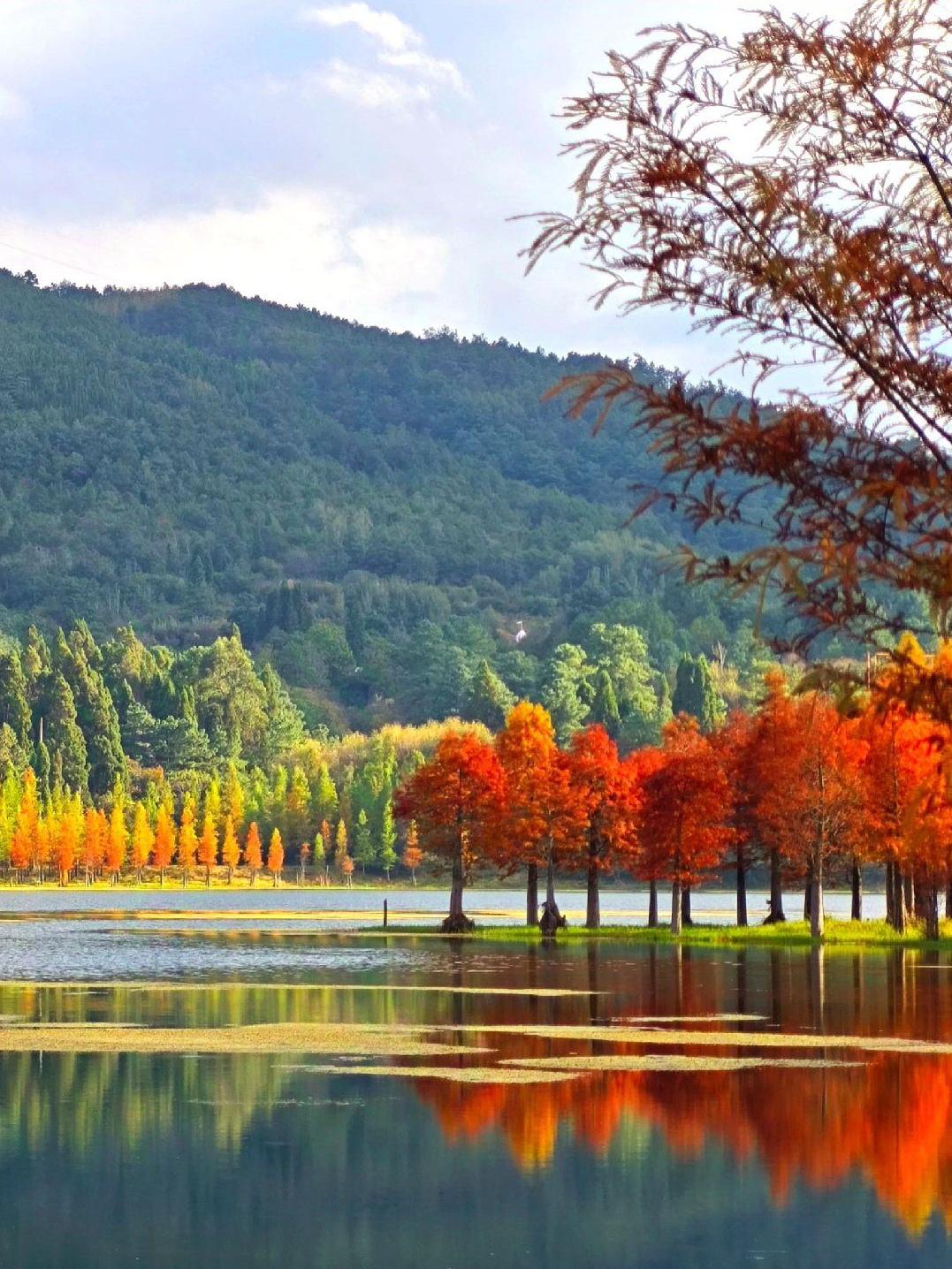 我常在抖音上看到有人售卖产品，自己也试着买过一些。我发现有不少人，就拿衣服来说，