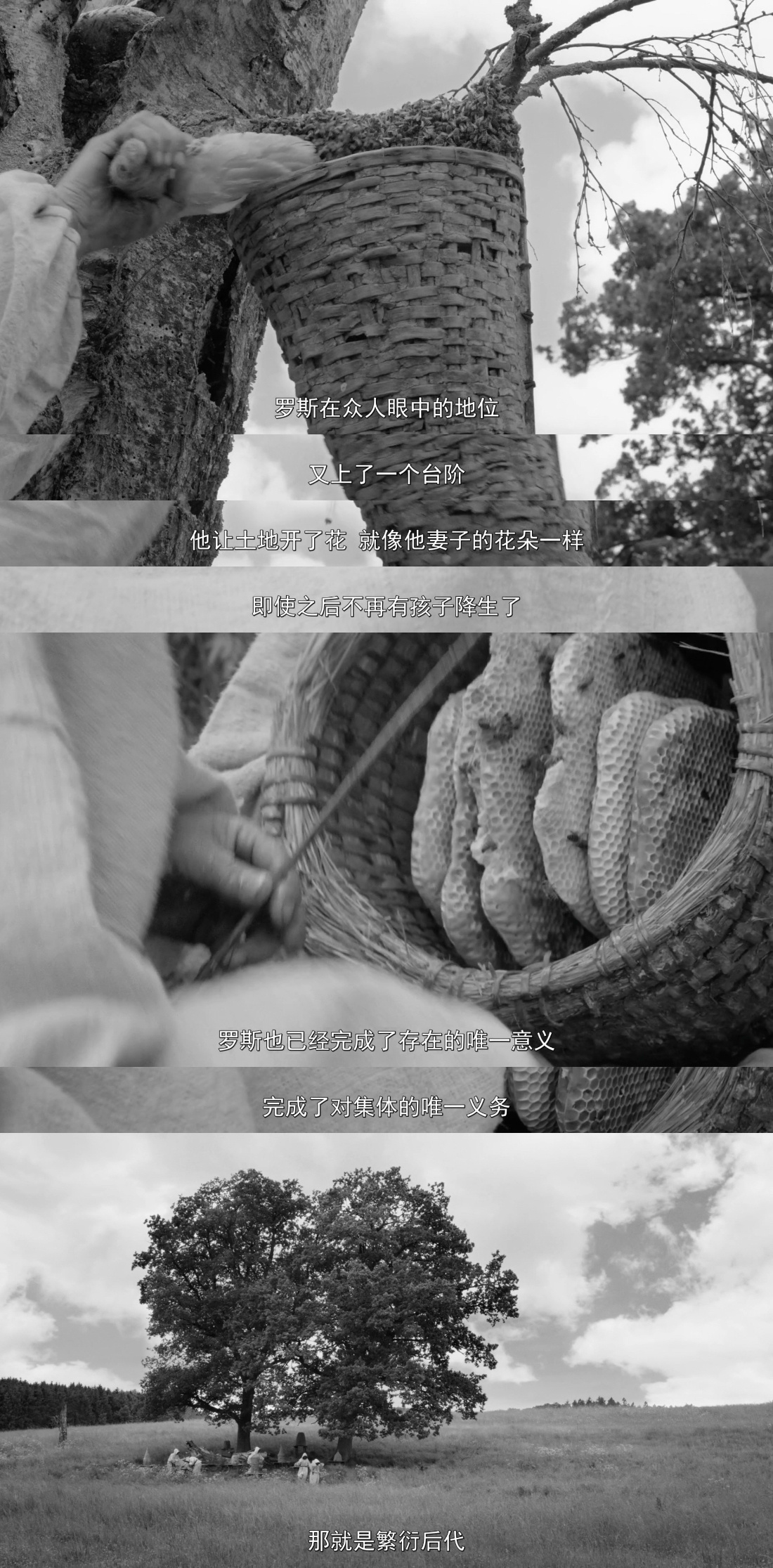 《罗斯》上线流媒体了，重看一遍，谁能不被桑德拉·惠勒迷倒！花木兰替父从军的故事能