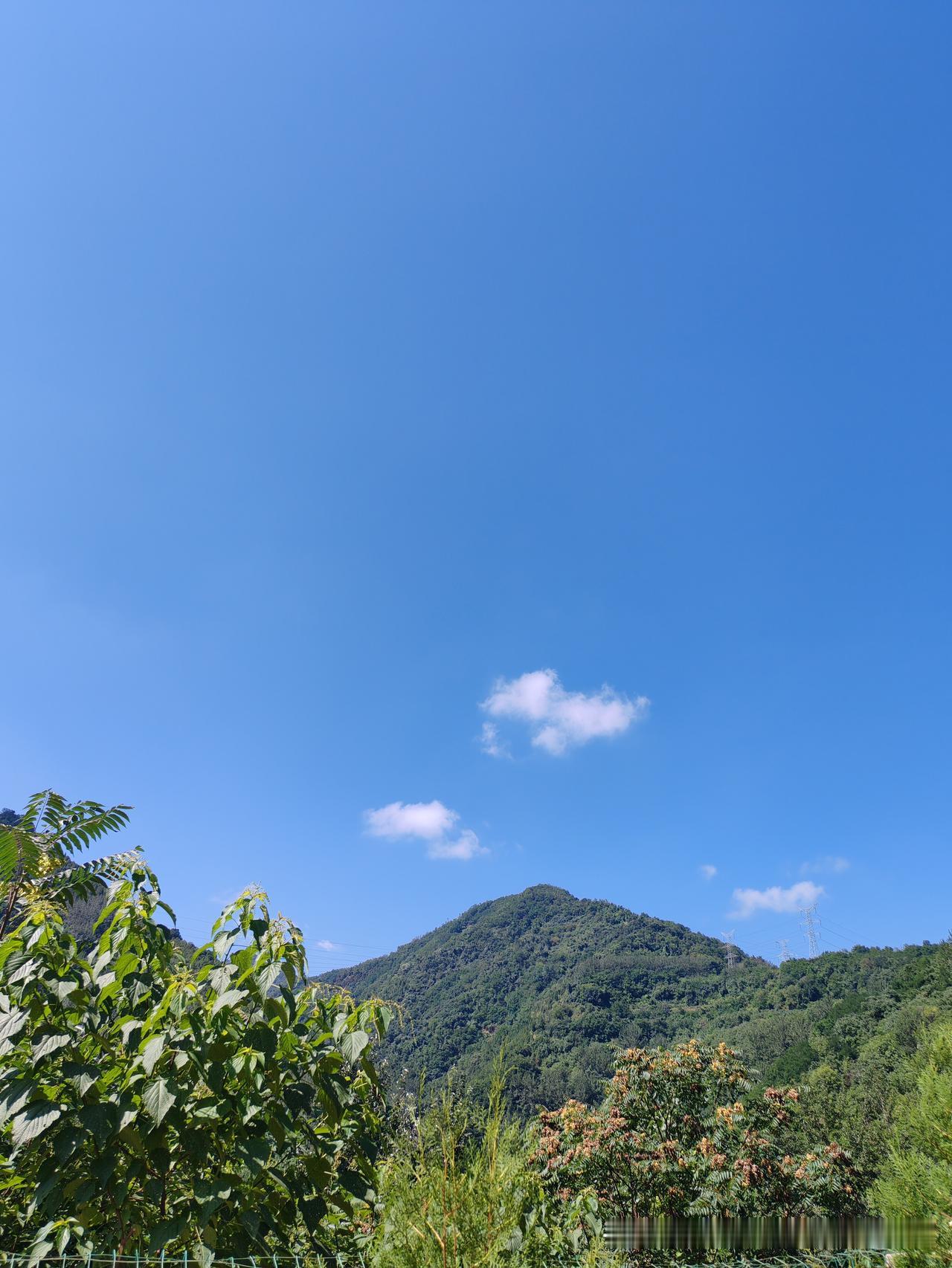 天气热浪滚滚，人脾气不好控制，火气大。

就我和先生两个人来说，他给我说话没有耐