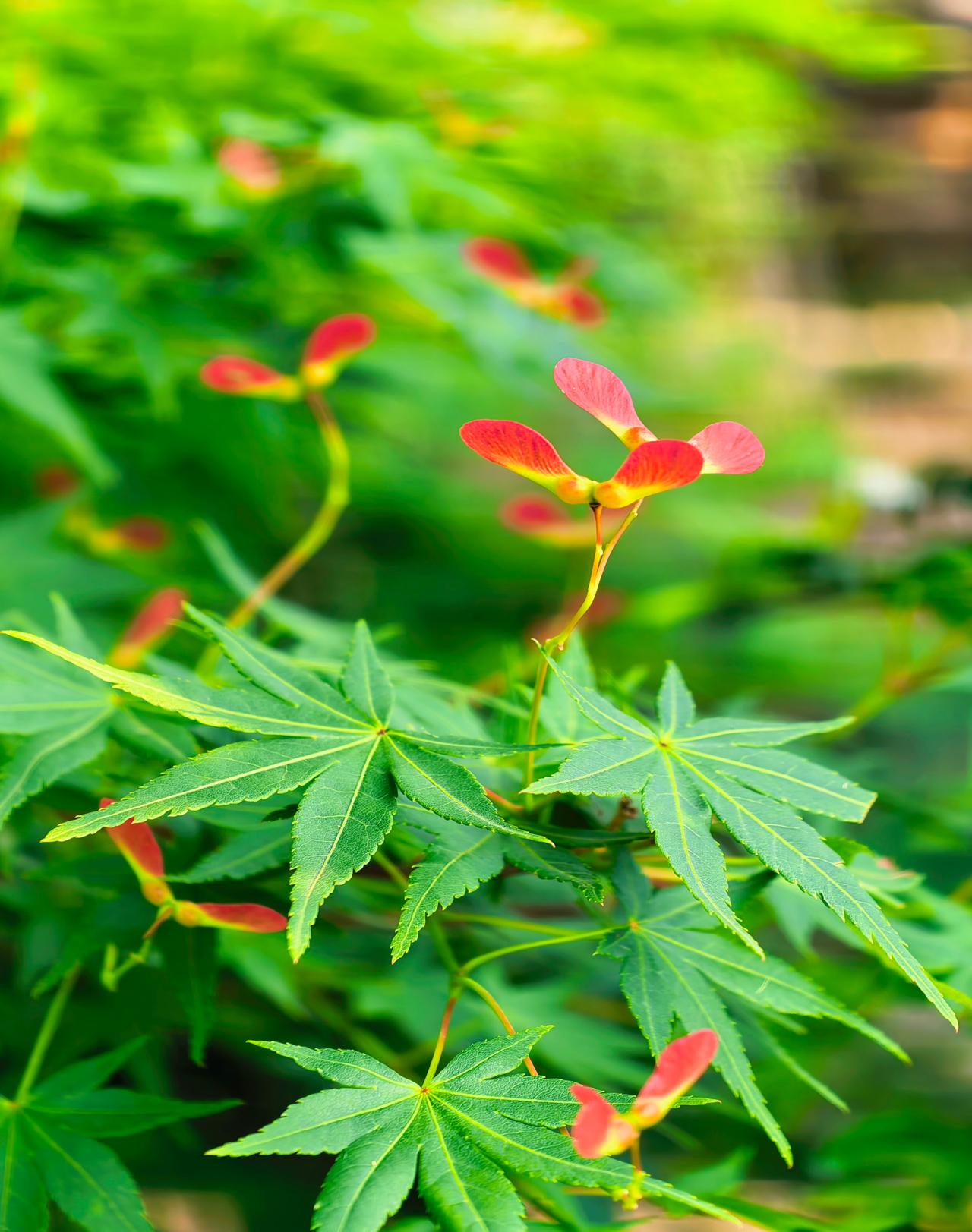 这一生的路途，走过的阡陌山河，历经的得失起落，自有万般别致风光。