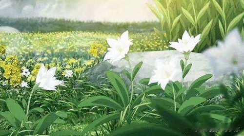 爱在心中停留，人生自然拥有。以平常之心，接受已发生的事。 以宽阔之心，包容对不起