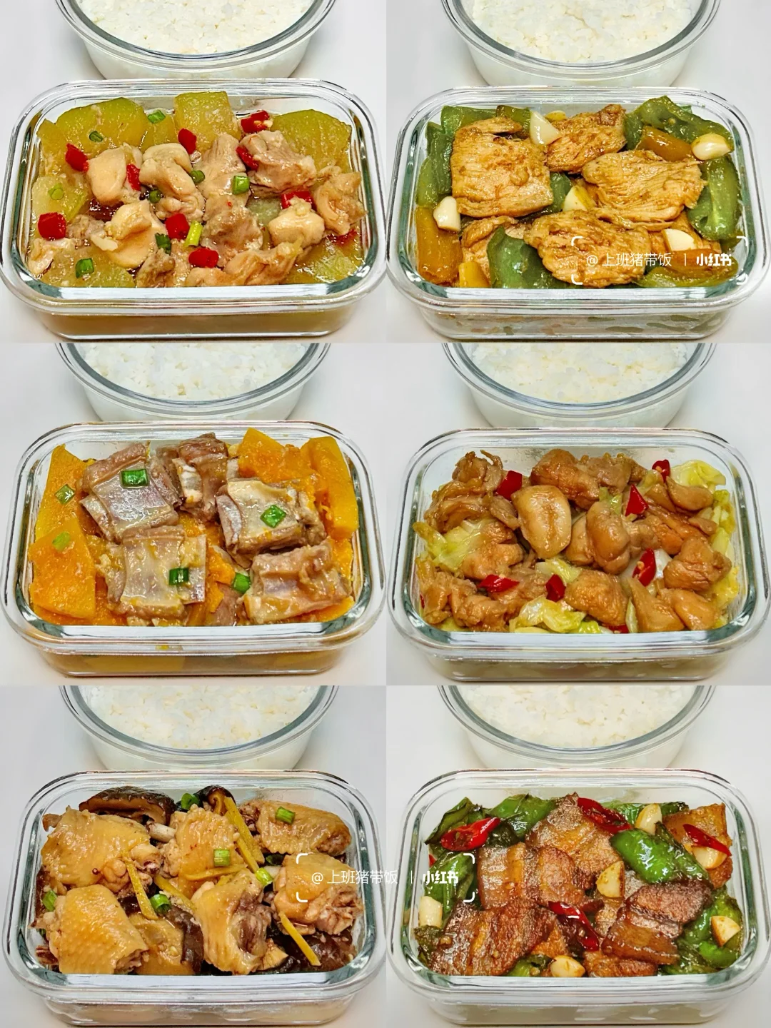 上班带饭丨隔夜菜比外卖健康多了～