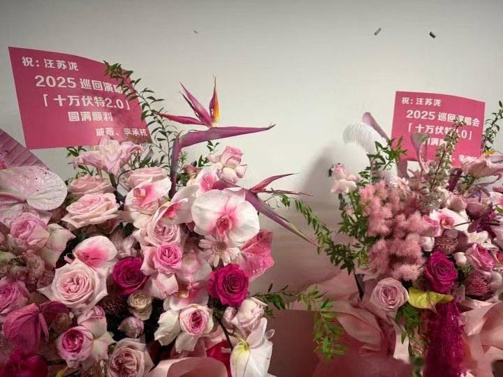 戚薇汪苏泷友情戚薇汪苏泷的友情，是音乐里的烟火气：她当DJ掀苏州热浪，带素龙上班
