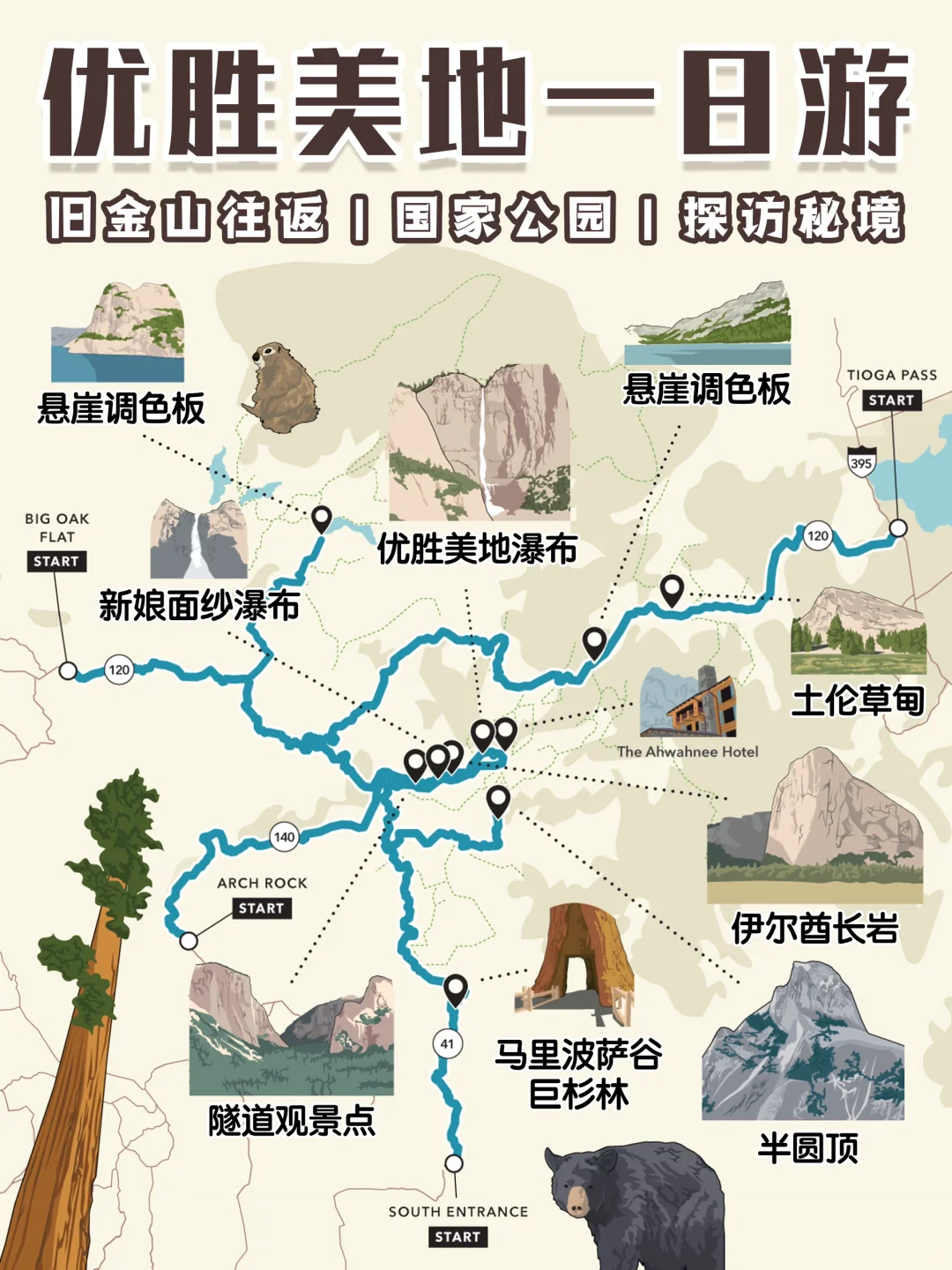 旧金山周边游｜优胜美地💐山花烂漫映日辉